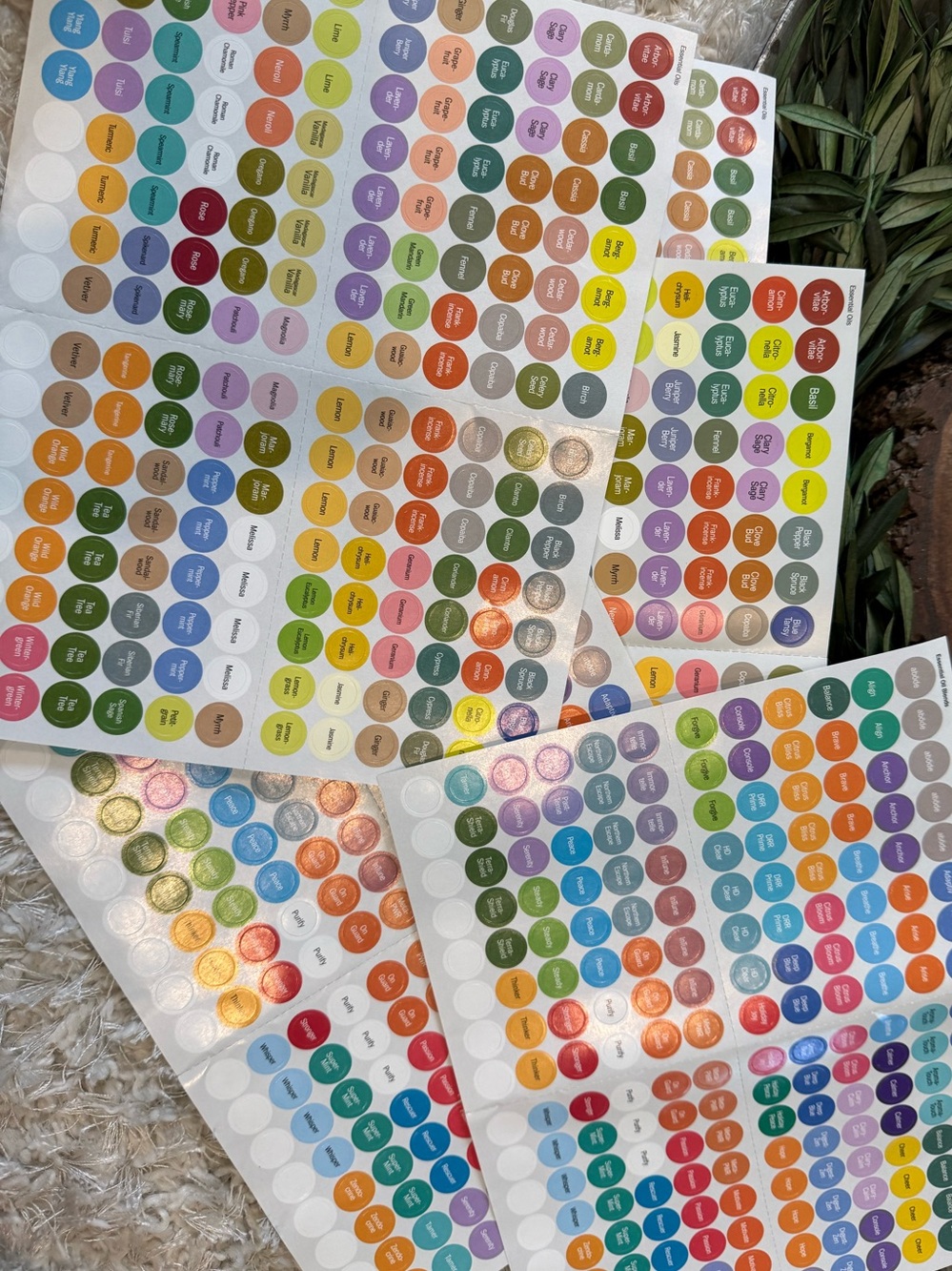 Doterra Essential Oil Bottle Cap Label Stickers- 5 Sheets!